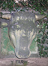 The Bull's head at The Forum, Caerleon
